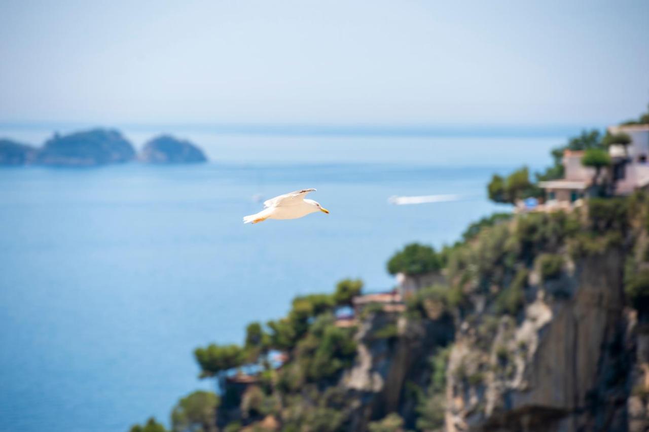 Casa Caprile Positano Bed and Breakfast Exteriör bild
